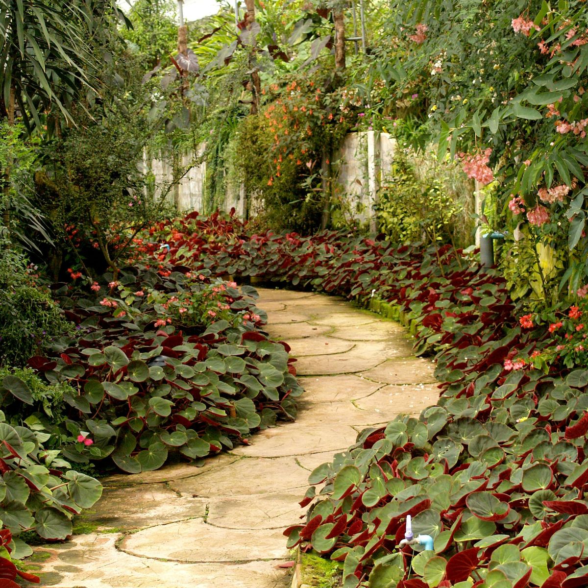 Image representing Transform Your Garden This Spring: Advice from Kent Landscaping Pros from Kent Landscaping Services