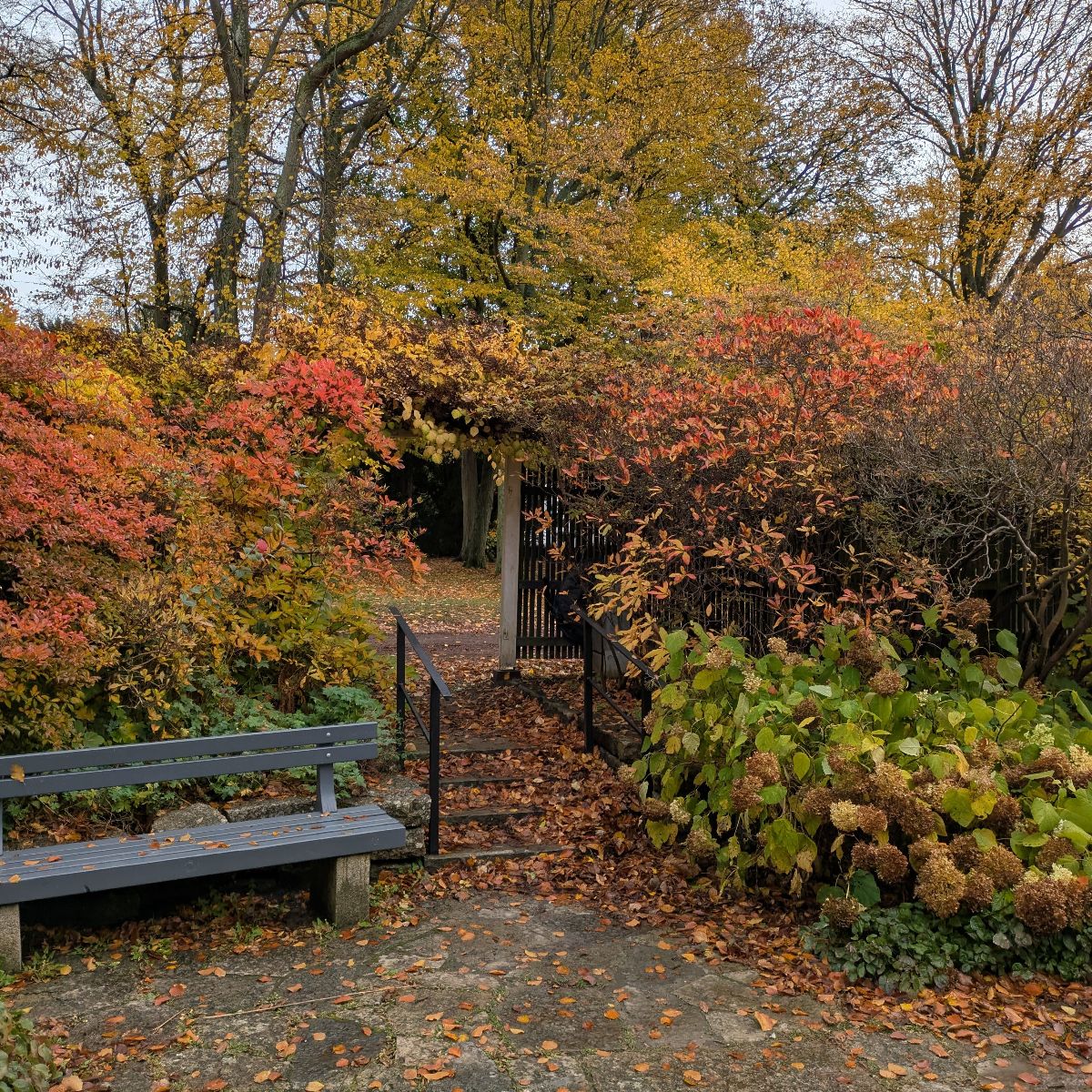 Image representing Get Ahead This Autumn: Why Late Summer is the Best Time to Upgrade Your Garden from Kent Landscaping Services
