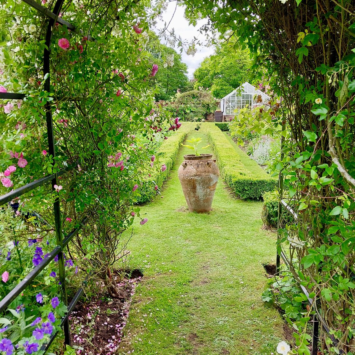 Image representing Keep Your Garden Cool This August: Smart Landscaping Ideas for Hot Summer Days from Kent Landscaping Services