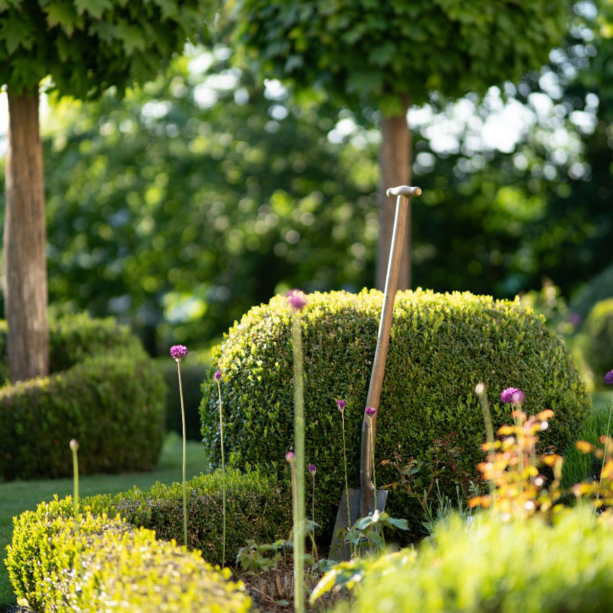 Selling Your Home? Why Your Garden Could Make All the Difference - Kent Landscaping Services Project