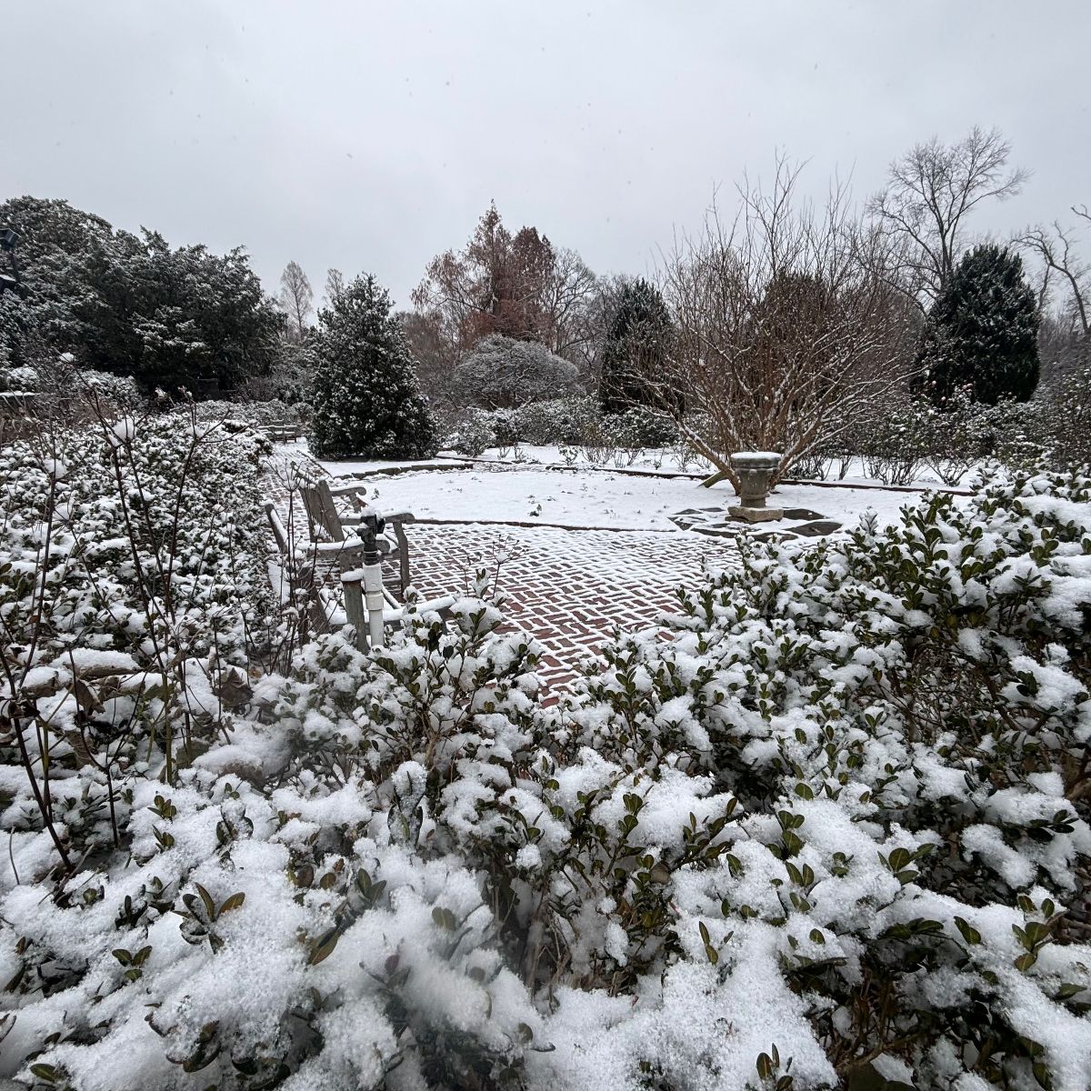 Image representing Christmas Outdoors: Make Your Garden Winter Ready from Kent Landscaping Services